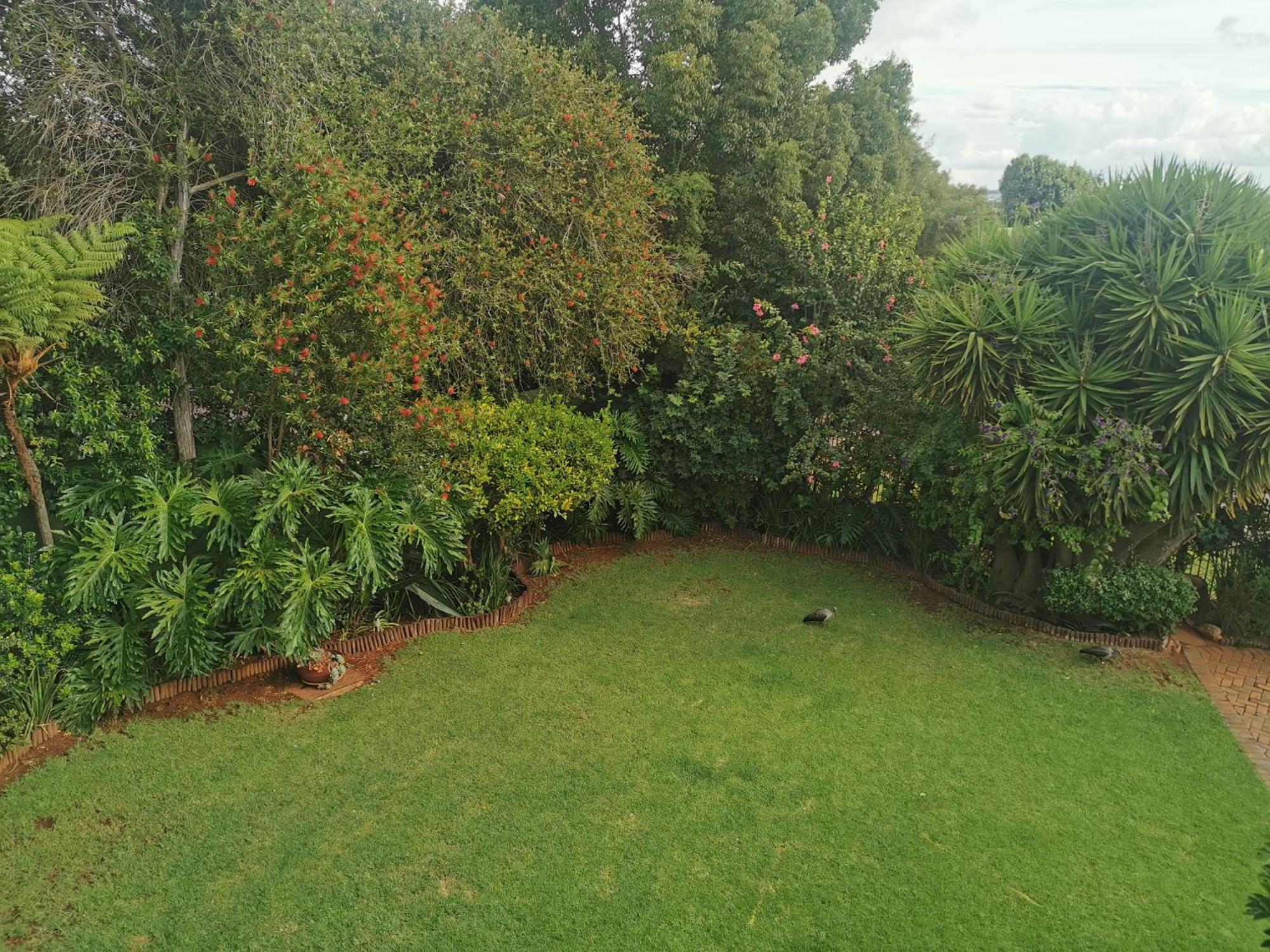 Villa Stella Guest House Edenvale Dış mekan fotoğraf